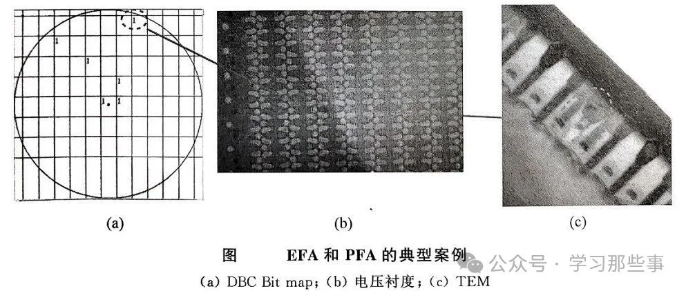 dede80f8-f104-11ef-9310-92fbcf53809c.jpg
