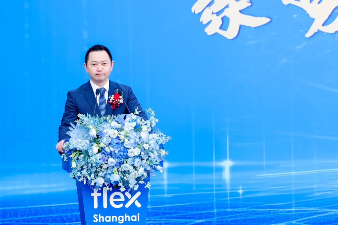 3a7678cc-f4ab-11ef-9310-92fbcf53809c.jpg