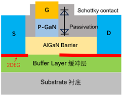 1370af9a-f424-11ef-9310-92fbcf53809c.png
