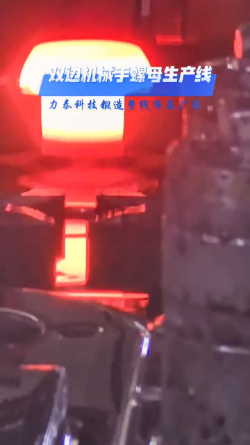 特材螺母自動化生產線雙邊機械手螺母鍛打.mp4
