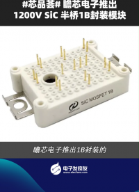 瞻芯電子推出1200V sic半橋1B封裝模塊