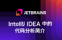 【JVM开发者必看】IntelliJ IDEA代码分析实践指南：实时纠错、冗余检测、自动修复等