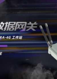 無(wú)線數(shù)據(jù)網(wǎng)關(guān) 自動(dòng)化測(cè)控的LoRa-4G混合網(wǎng)絡(luò) 串口升級(jí)、信號(hào)擴(kuò)展 高效物聯(lián)傳輸網(wǎng)絡(luò)DLS11