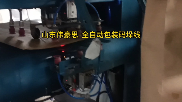 氯化鋇自動包裝碼垛機 全自動包裝碼垛機流程 宿舍是