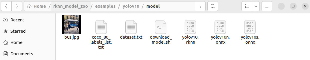 yolov10_rknn_model.jpg