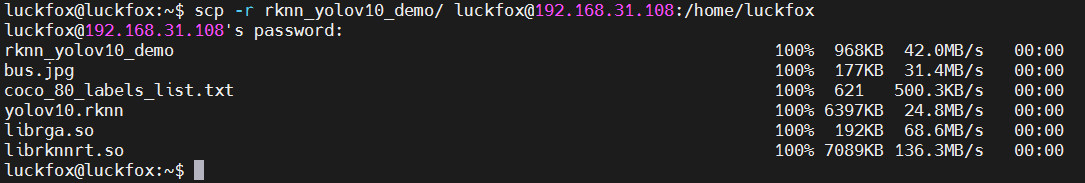 yolov_build.jpg