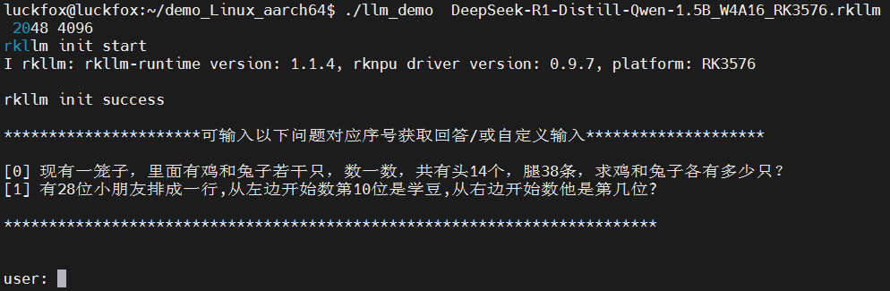 rknn-llm_deepseek_runing.jpg