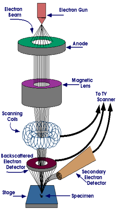 afdd804e-0633-11f0-9310-92fbcf53809c.png