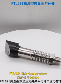  PTL 531 High-Temperature Digital Pressure Switch
