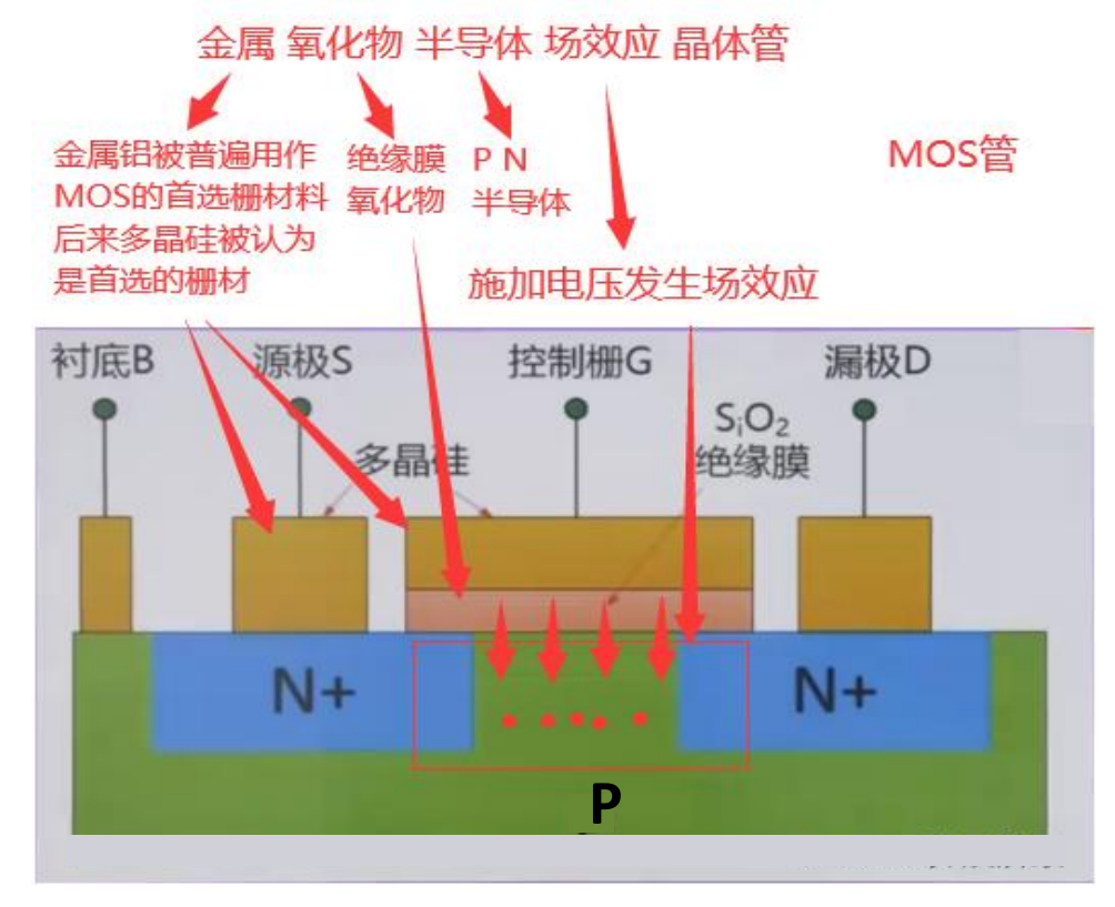 77a02480-1073-11f0-9310-92fbcf53809c.png