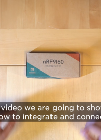  Soft Sim 與 Nordic Semiconductor 的 NRF-9160 集成