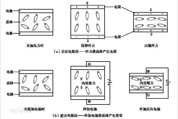 威廉希尔官方网站
板
