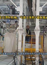 山東氧化鋁噸包袋包裝機(jī) 自動