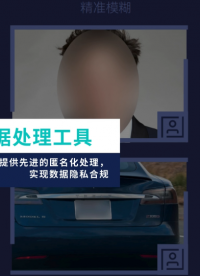 brighter AI 圖像視頻數據脫敏工具，保障數據隱私合規# 圖像處理# 視頻處理# 隱私保護# 脫敏