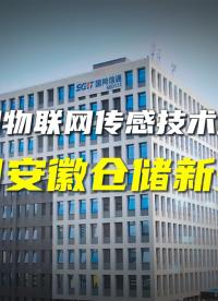 國網(wǎng)信息通信產(chǎn)業(yè)集團(tuán)五處倉庫改造貨架安全監(jiān)測試點(diǎn)落地。#貨架監(jiān)測系統(tǒng) #傾角傳感器 #倉儲安全 
