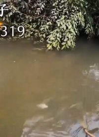 咸水逆變器什么牌好用機頭魚機哪個牌子好大海里捕魚工具哪種最好#農(nóng)業(yè)物聯(lián)網(wǎng) 