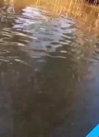 淡水高科技捕魚設(shè)備最先進的捕吸魚機設(shè)備大型水庫逮魚高科技方法#農(nóng)業(yè)物聯(lián)網(wǎng) 