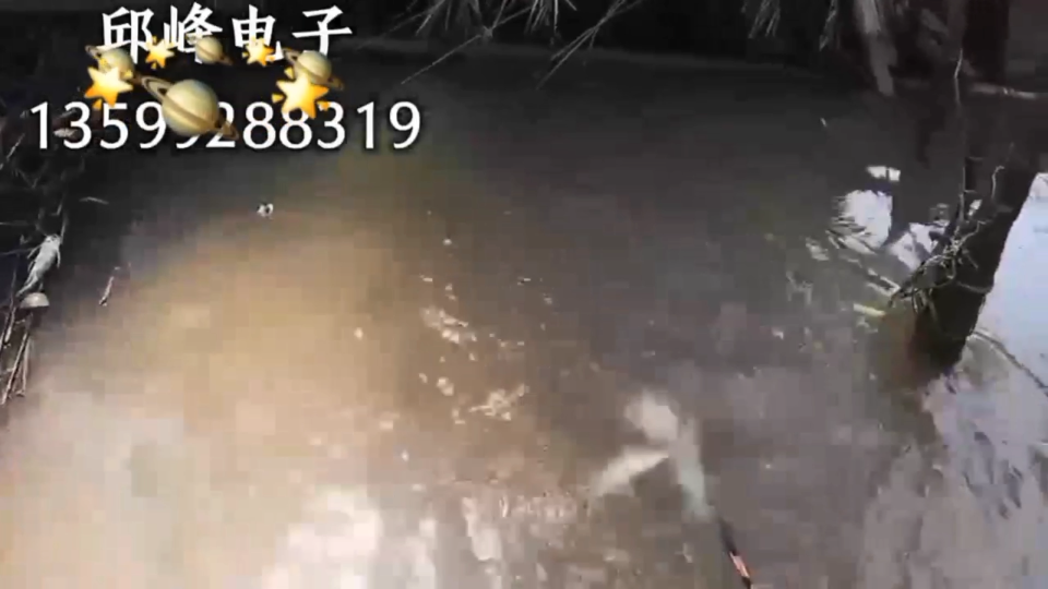 深水逆變器多大功率才好電捕引魚吸魚脈沖深水捕逮魚機逆變器選購#農(nóng)業(yè)物聯(lián)網(wǎng) 