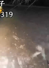深水逆變器多大功率才好電捕引魚吸魚脈沖深水捕逮魚機逆變器選購#農(nóng)業(yè)物聯(lián)網(wǎng) 