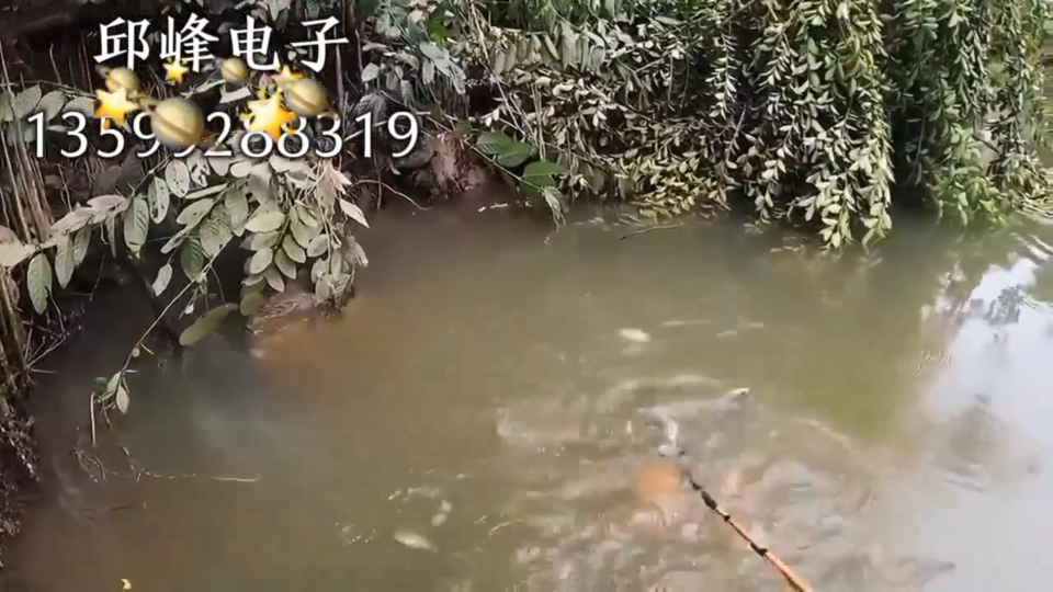 邱峰電子海水咸水捕魚器視頻純咸水逆變器機頭哪里買發(fā)電機后級