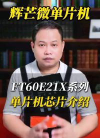 輝芒微FT60E21X系列單片機(jī)主要功能特性分享！# #單片機(jī) 