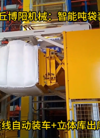 山東全自動(dòng)噸袋裝車機(jī)、硫酸鎂噸袋自動(dòng)裝車機(jī)