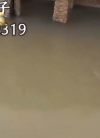 最新發(fā)電機大功率后級電升壓捕魚吸魚逆變器目前吸魚最好的引魚機#農(nóng)業(yè)物聯(lián)網(wǎng) 