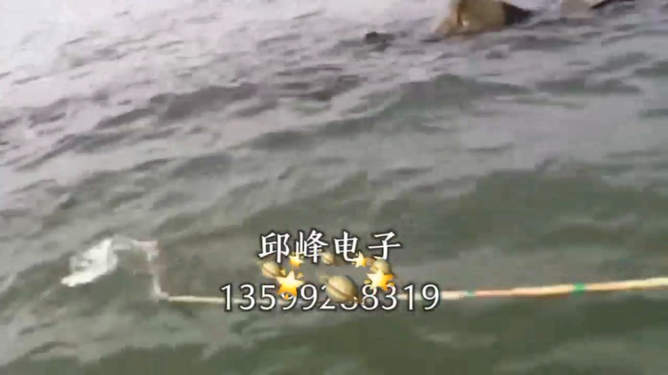 秒殺羅非魚吸魚捕引魚器黑科技捕吸機魚神器會把魚吸過來的逆變器#農業物聯網 