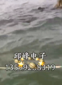 秒殺羅非魚吸魚捕引魚器黑科技捕吸機魚神器會把魚吸過來的逆變器#農(nóng)業(yè)物聯(lián)網(wǎng) 