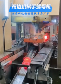 50特材螺母自動化生產(chǎn)線紅打螺母生產(chǎn)線布局.mp4