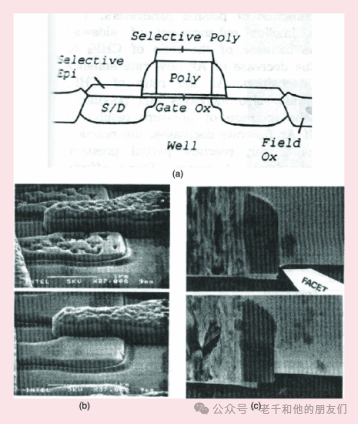 e4e25ace-202a-11f0-9310-92fbcf53809c.png