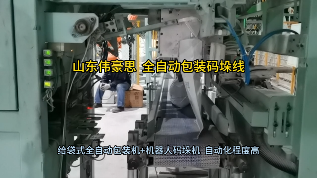 定制碳銨自動包裝碼垛機 全自動包裝碼垛設備 山東偉豪思