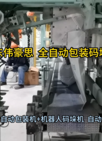 定制碳銨自動包裝碼垛機 全自動包裝碼垛設(shè)備 山東偉豪思