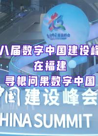 在數(shù)字中國(guó)建設(shè)峰會(huì)，看數(shù)字技術(shù)的根，結(jié)出數(shù)字中國(guó)的果