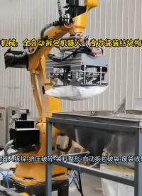 袋裝片堿全自動破袋機(jī)械手 