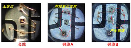 微信图片_20240416084934.png