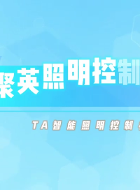 智能照明系列硬件設(shè)備 #電工 #plc #物聯(lián)網(wǎng) #人工智能 