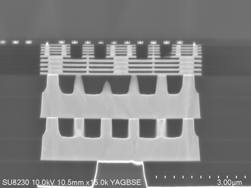 34a666ec-2f1a-11f0-9310-92fbcf53809c.png