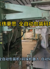 定制炭粉包裝碼垛系統(tǒng) 全自動包裝碼垛流水線 山東偉豪思