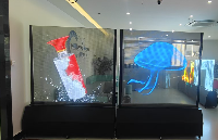 LED全息<b class='flag-5'>屏</b>與LED晶<b class='flag-5'>膜</b><b class='flag-5'>屏</b>：透明顯示新潮流的“雙雄爭霸”