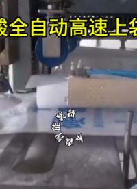 硬脂酸全自動高速上袋包裝機(jī)#硬脂酸包裝機(jī)#全自動包裝機(jī)#高速上袋包裝機(jī)#顆粒粉末包裝機(jī)#設(shè)備生產(chǎn)廠家 