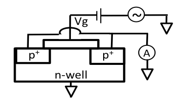 bddaccae-317d-11f0-afc8-92fbcf53809c.png