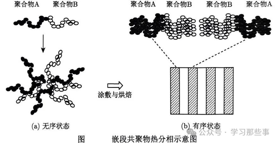 51dfa07c-349a-11f0-afc8-92fbcf53809c.jpg