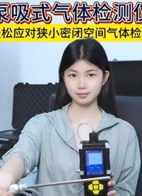 奕帆便攜式氣體檢測儀源頭廠家