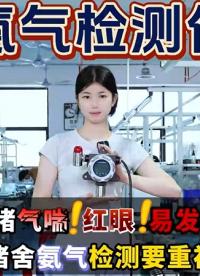 奕帆氨氣檢測儀源頭廠家