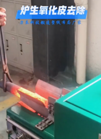 定制除磷機棒料去氧化皮設(shè)備快速除鱗.mp4