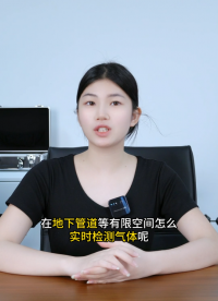 奕帆便攜式氣體探測(cè)器支持定制