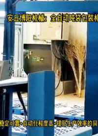 氧化鎂全自動(dòng)噸袋包裝機(jī)、安徽連續(xù)噸袋包裝系統(tǒng)# 智能噸袋包裝機(jī)# 