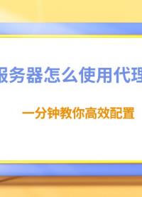 云服務(wù)器怎么使用代理IP？一分鐘教你高效配置#云服務(wù)器
 