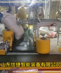 
包裝碼垛生產線解放多個勞動力節約用工成本提高工作效率